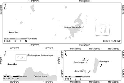 Reproductive Seasonality of Coral Assemblages in the Karimunjawa Archipelago, Indonesia